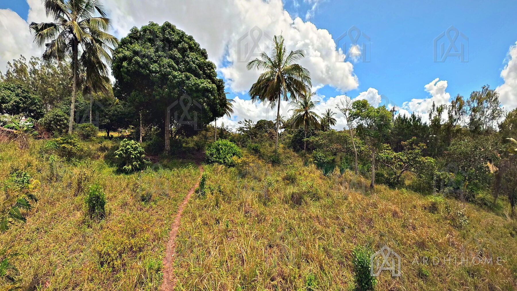 0.75-Acre Land in Godoni, Kinarini, Kwale — photo 1 of 10