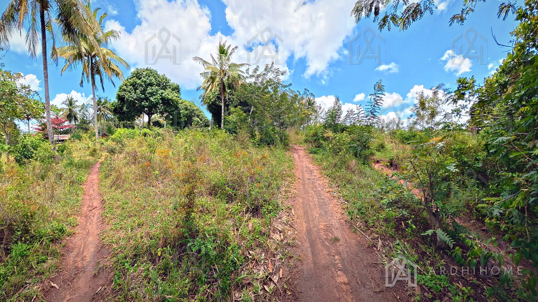 0.75-Acre Land in Godoni, Kinarini, Kwale — photo 2 of 10