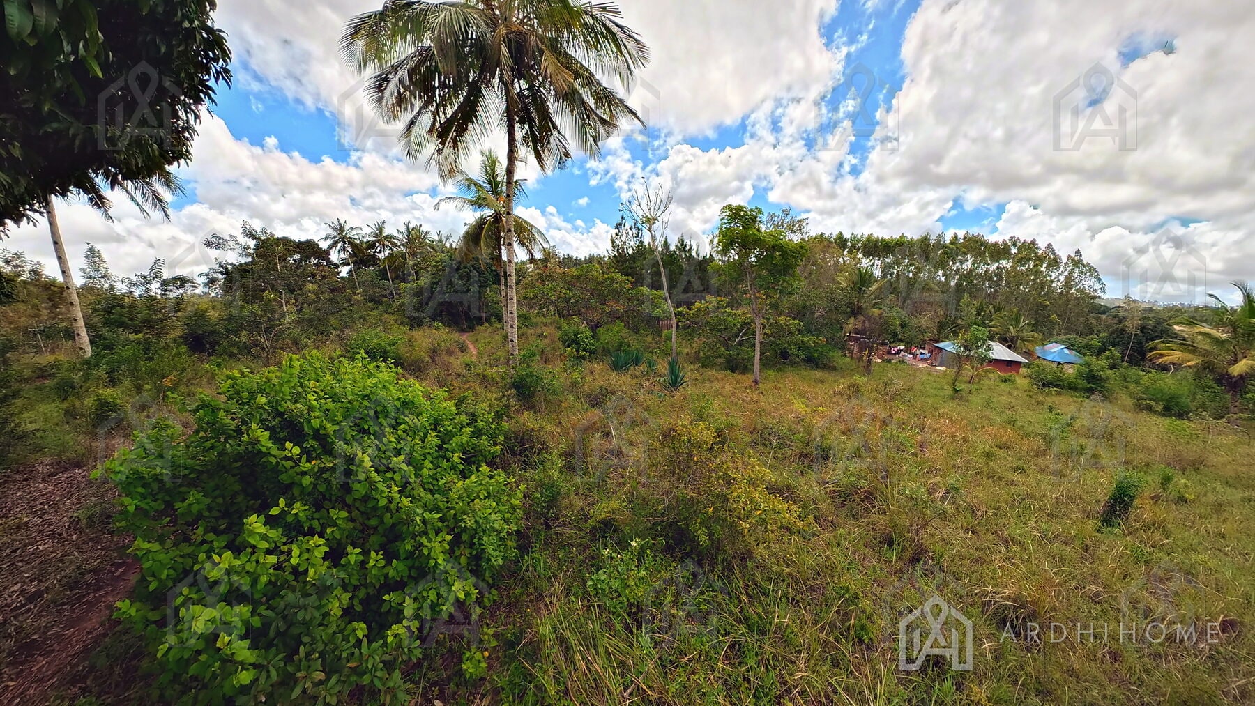 0.75-Acre Land in Godoni, Kinarini, Kwale — photo 6 of 10
