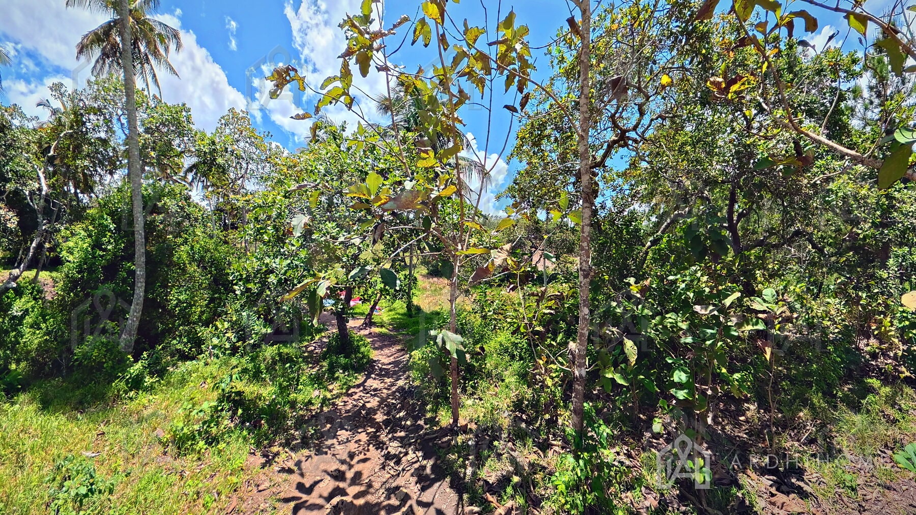 0.75-Acre Land in Godoni, Kinarini, Kwale — photo 9 of 10