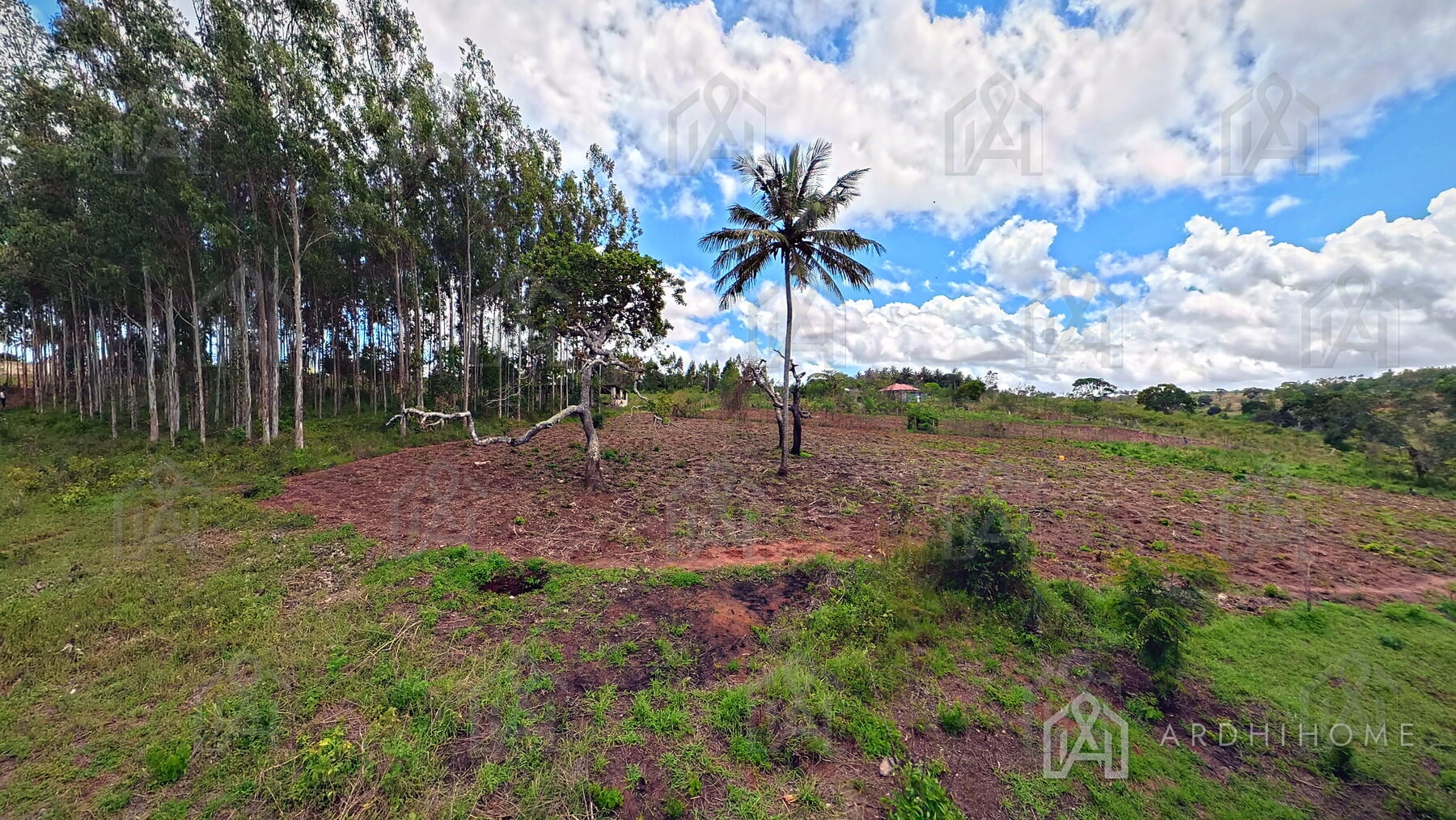 0.75-Acre Land in Godoni, Kinarini, Kwale — photo 10 of 10