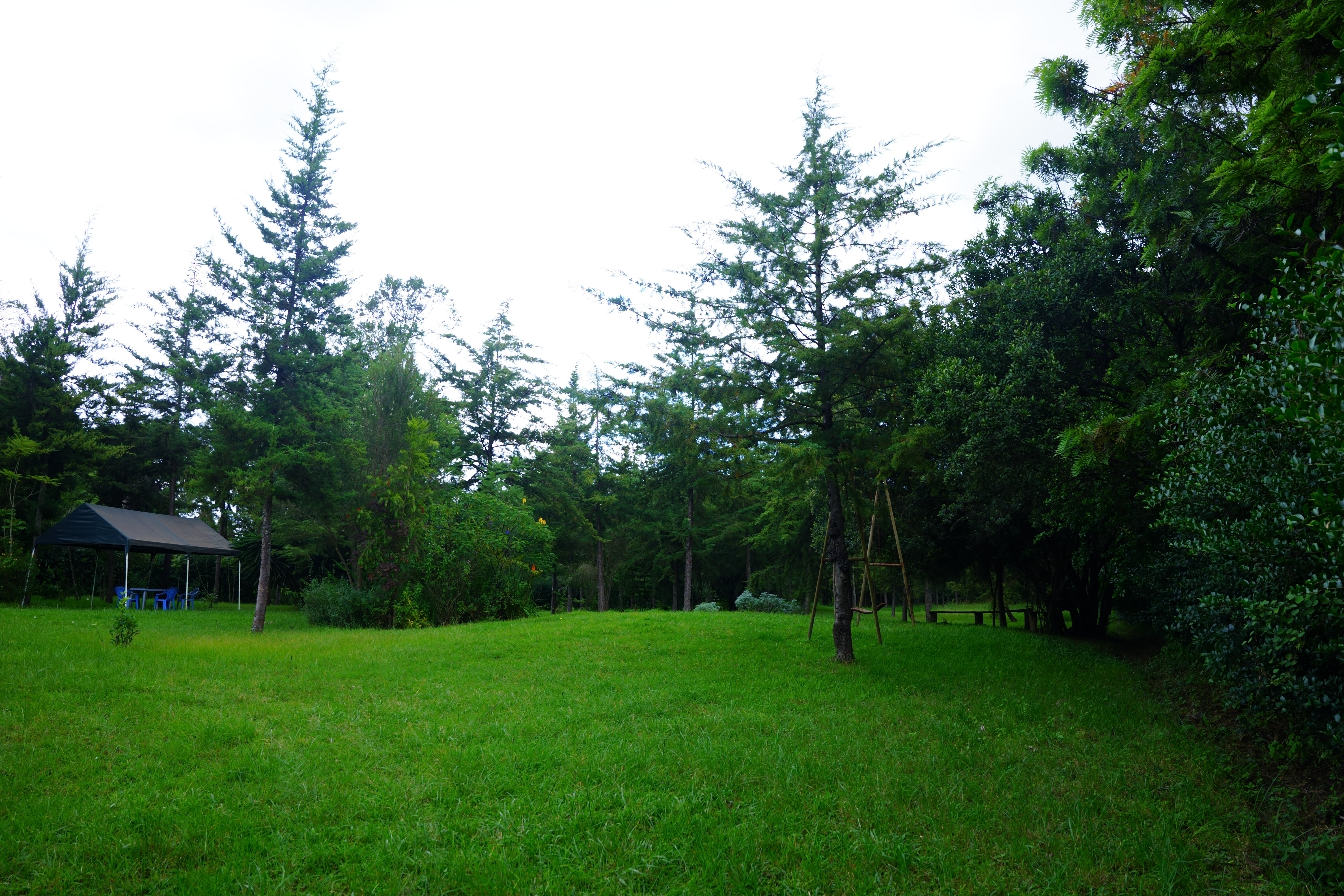 4 Bedroom Home — Bellevue, Naivasha | KSH 150K/month — photo 30 of 30